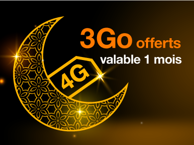 4g
